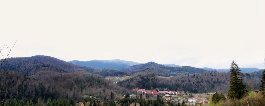 Guest House Karpaty Yaremche Luaran gambar