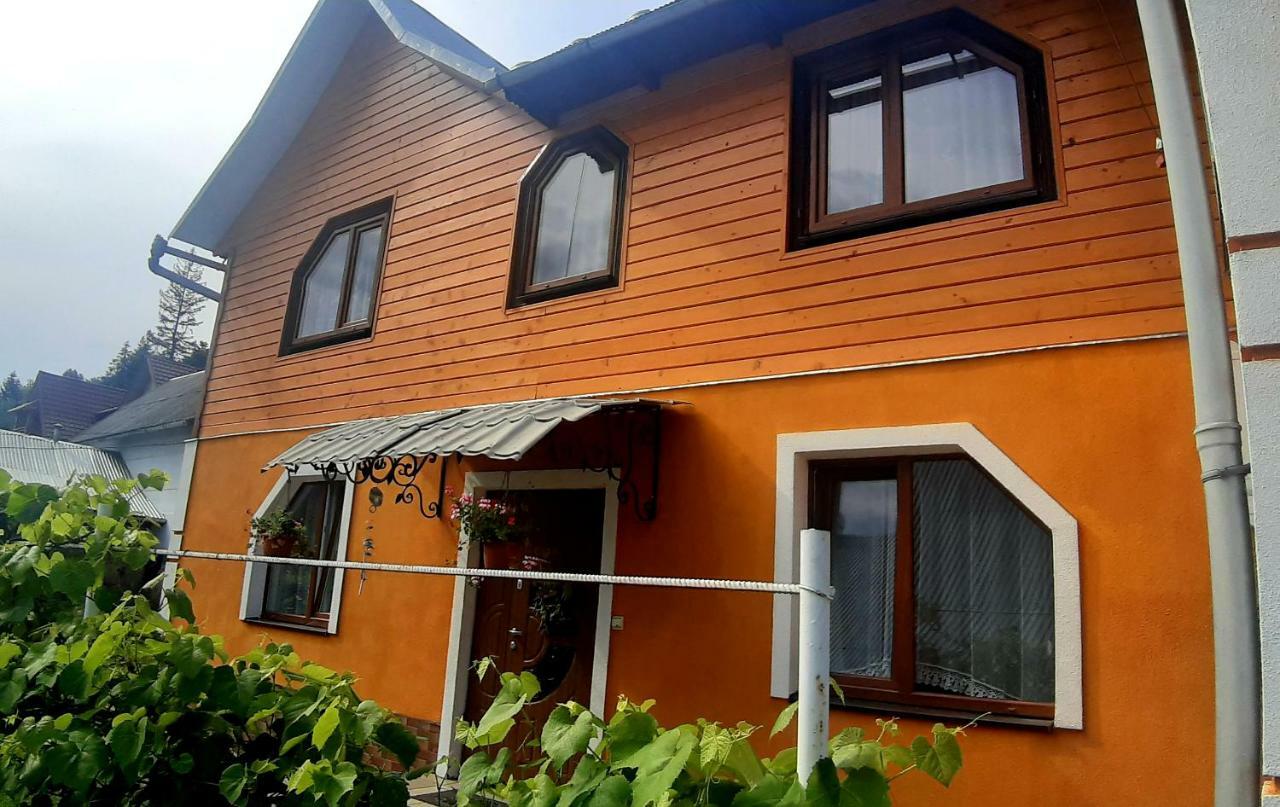 Guest House Karpaty Yaremche Luaran gambar